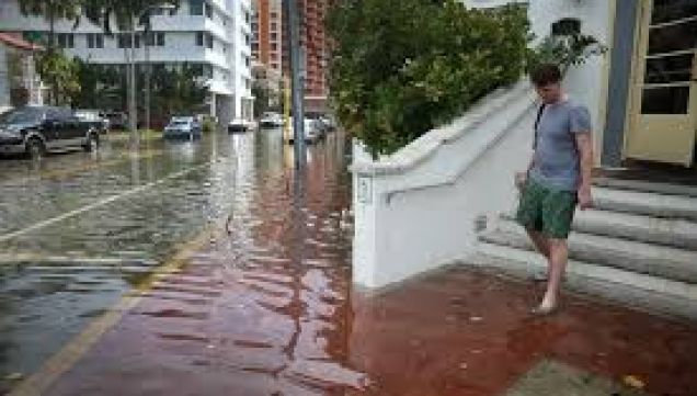 Estados Unidos: 40 ciudades podrían inundarse por el cambio climático.