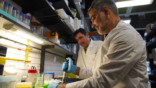 Científicos argentinos desarrollaron un detector barato y preciso para detectar arsénico en el agua que consumen millones de personas