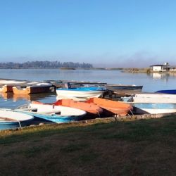 La laguna El Carpincho, ubicada sobre la Ruta Nacional 7, en las afueras de la ciudad, se suma a Gómez y Mar Chiquita, y así, Junín vuelve a recuperar parte de ese brillo histórico que supo tener dentro del circuito bonaerense.