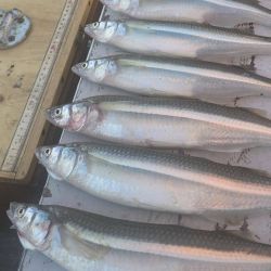 Si el nivel de agua se mantiene como ahora, los próximos meses tendremos otro espejo bonaerense agendado para una escapada al pejerrey, en una temporada que promete seguir entregando buenas noticias para los amantes de la pesca.
