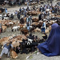 Una mujer afgana vestida con burka se sienta en un terreno con vistas a un mercado de ganado en Fayzabad, provincia de Badakhshan, antes de la festividad musulmana de Eid al-Adha. | Foto:OMER ABRAR / AFP