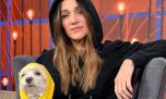 Vero Lozano mostró la habitación de su perrito, Copito: sillón, cuadros en su honor y chimenea