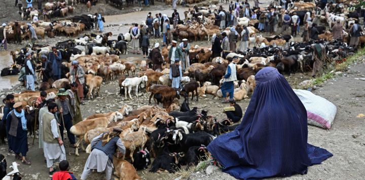 Una mujer afgana vestida con burka se sienta en un terreno con vistas a un mercado de ganado en Fayzabad, provincia de Badakhshan, antes de la festividad musulmana de Eid al-Adha.