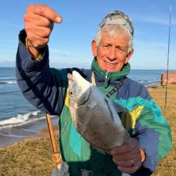 Hacia el sur estuvieron dirigidas la mayoría de las miradas, tal como se esperaba, aunque también el pique se hizo presente en la zona céntrica, con puntos altos en el tradicional muelle de pescadores de Miramar, muy concurrido durante todo el fin de semana. En dirección a Necochea, Mar del Sur pagó bien.