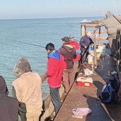 Hacia el sur estuvieron dirigidas la mayoría de las miradas, tal como se esperaba, aunque también el pique se hizo presente en la zona céntrica, con puntos altos en el tradicional muelle de pescadores de Miramar, muy concurrido durante todo el fin de semana. En dirección a Necochea, Mar del Sur pagó bien.