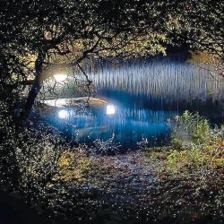 Cómo iluminan las luces para off road. Y qué tipo de farol auxiliar conviene utilizar según la situación.