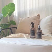 El secreto de un hogar con estilo: la frescura magnética del aroma Dallas