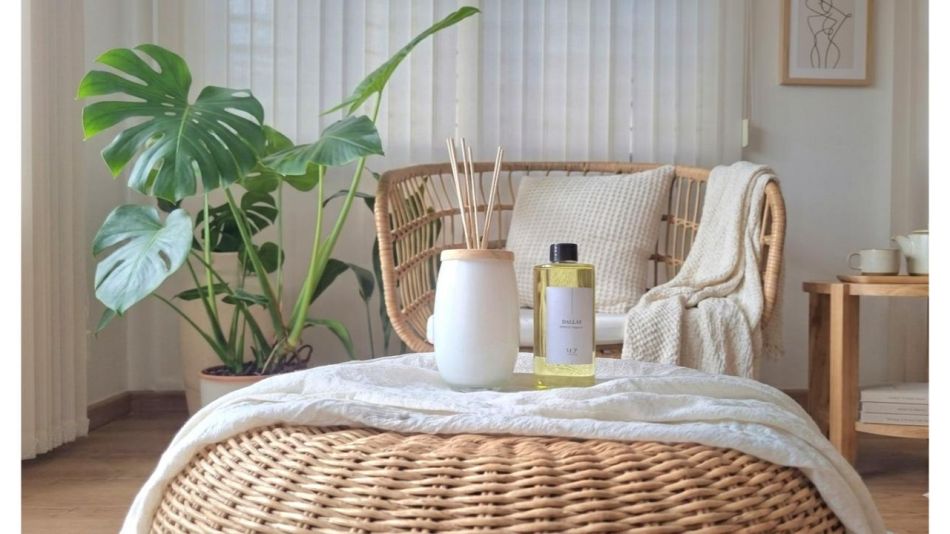 El secreto de un hogar con estilo: la frescura magnética del aroma Dallas
