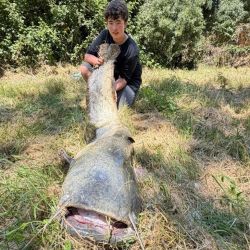 Especialistas y organismos ambientales advierten que se trata de una especie invasora altamente depredadora, capaz de alimentarse de peces autóctonos, huevos, aves acuáticas y distintos organismos del ecosistema.