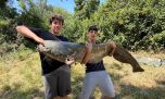 Pesca récord: un adolescente logró sacar del Ebro un siluro gigante