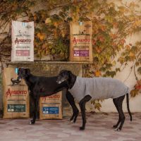 La receta de ARGENTO® para conquistar el mercado