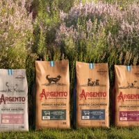 La receta de ARGENTO® para conquistar el mercado