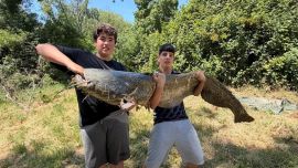 Especialistas y organismos ambientales advierten que se trata de una especie invasora altamente depredadora, capaz de alimentarse de peces autóctonos, huevos, aves acuáticas y distintos organismos del ecosistema.