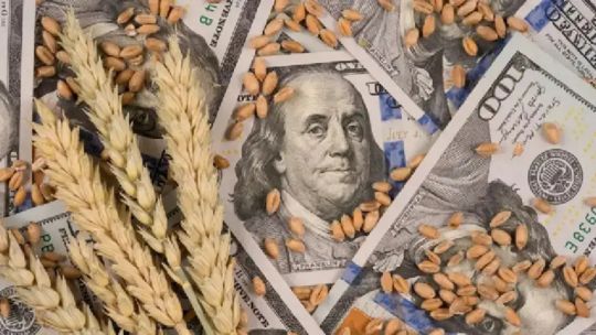 “No hay plata para la educación y se disminuye la recaudación a uno de los sectores más dinámicos de la economía”