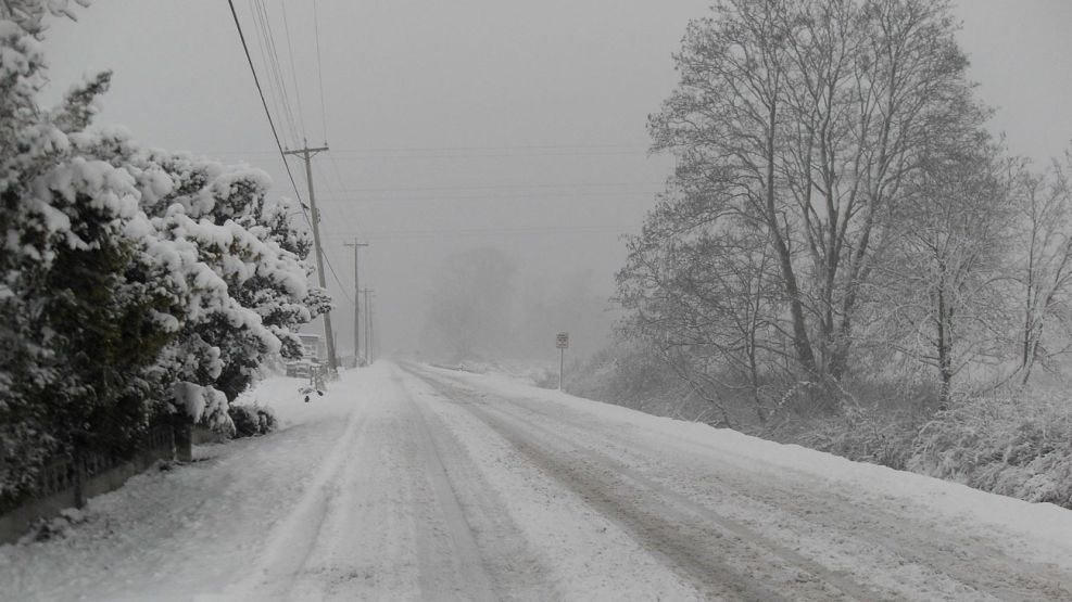 Frio polar 27052026