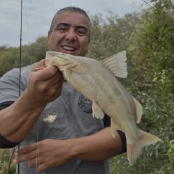 El río Utis, un curso de agua muy frecuentado por aficionados santiagueños y visitantes de provincias vecinas que buscan jornadas de variada y dorados en ambientes todavía poco explorados por el turismo masivo. Aunque no dio buenos dorados en esta ocasión, suele tenerlos. 
