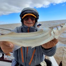 Las grandes fechas del Plata ya están surcando las aguas de Berisso, seguramente con un poco más de frío aún se activen más para alegría de los muchos seguidores que los esperan con ansias.
