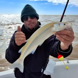 Las grandes fechas del Plata ya están surcando las aguas de Berisso, seguramente con un poco más de frío aún se activen más para alegría de los muchos seguidores que los esperan con ansias.