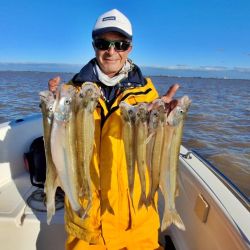 Las grandes fechas del Plata ya están surcando las aguas de Berisso, seguramente con un poco más de frío aún se activen más para alegría de los muchos seguidores que los esperan con ansias.