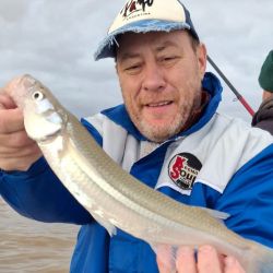 Las grandes fechas del Plata ya están surcando las aguas de Berisso, seguramente con un poco más de frío aún se activen más para alegría de los muchos seguidores que los esperan con ansias.