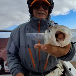 Las grandes fechas del Plata ya están surcando las aguas de Berisso, seguramente con un poco más de frío aún se activen más para alegría de los muchos seguidores que los esperan con ansias.