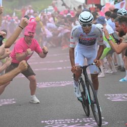 El victorioso ciclista portugués Afonso Eulalio se escapa en el Muro di Ca’ del Poggio durante la 18ª etapa del Giro d'Italia 2026 - Vuelta a Italia carrera ciclista entre Fai della Paganella y Pieve di Soligo, Italia. | Foto:Tim De Waele / POOL / AFP