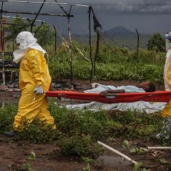 Personal médico con equipo de protección individual (EPI) traslada a un paciente con ébola en camilla al hospital de Rwampara. Según la OMS, el último brote en la República Democrática del Congo (RDC), el decimoséptimo que afecta a este vasto país de África central con más de 100 millones de habitantes, ya se sospecha que ha causado 139 muertes de entre casi 600 casos probables. Muchos de los casos se han registrado en el epicentro de la epidemia, en la provincia nororiental de Ituri, en zonas de difícil acceso aisladas por la presencia de numerosos grupos armados en el este del Congo. | Foto:Seros Muyisa / AFP