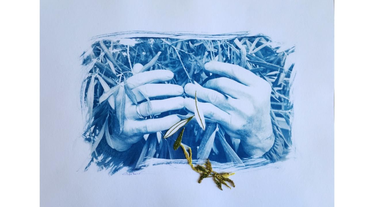 Fotografía experimental en el arte contemporáneo: la revancha de lo imperfecto. Por Lucía Calabrino.