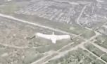 El video viral de cómo una cigüeña evade al ejército ruso