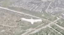 El video viral de cómo una cigüeña evade al ejército ruso