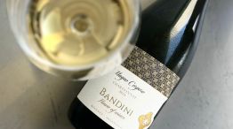 Vino de la bodega Finca Bandini