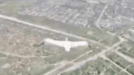 El video viral de cómo una cigüeña evade al ejército ruso