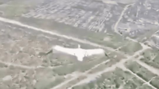El video viral de cómo una cigüeña evade al ejército ruso