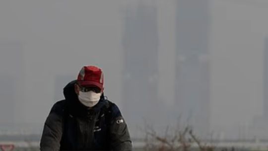 Un estudio determinó que una hora de exposición a la contaminación ambiental bastan para alterar las funciones cerebrales y pulmonares