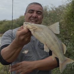 2905_mapa_pique_pesca