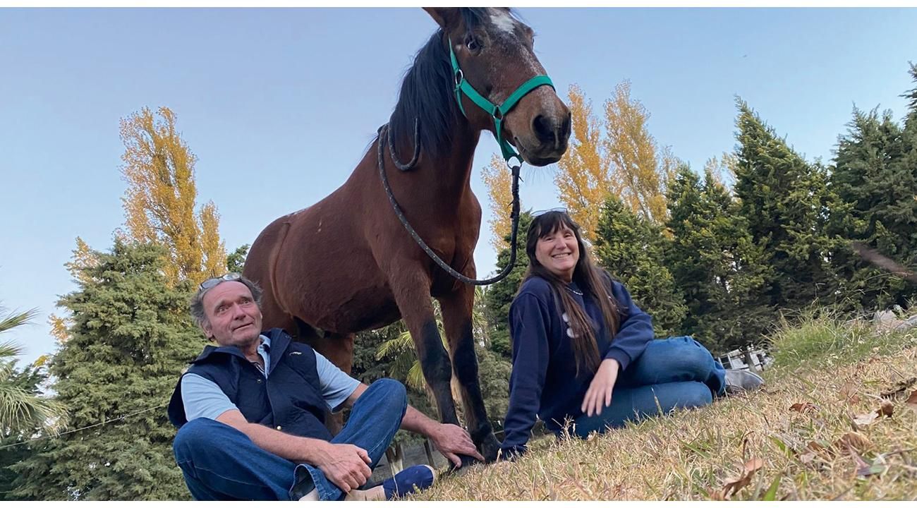 Equinoterapia Carlota Yanzón: una mirada profesional sobre las terapias asistidas con caballos