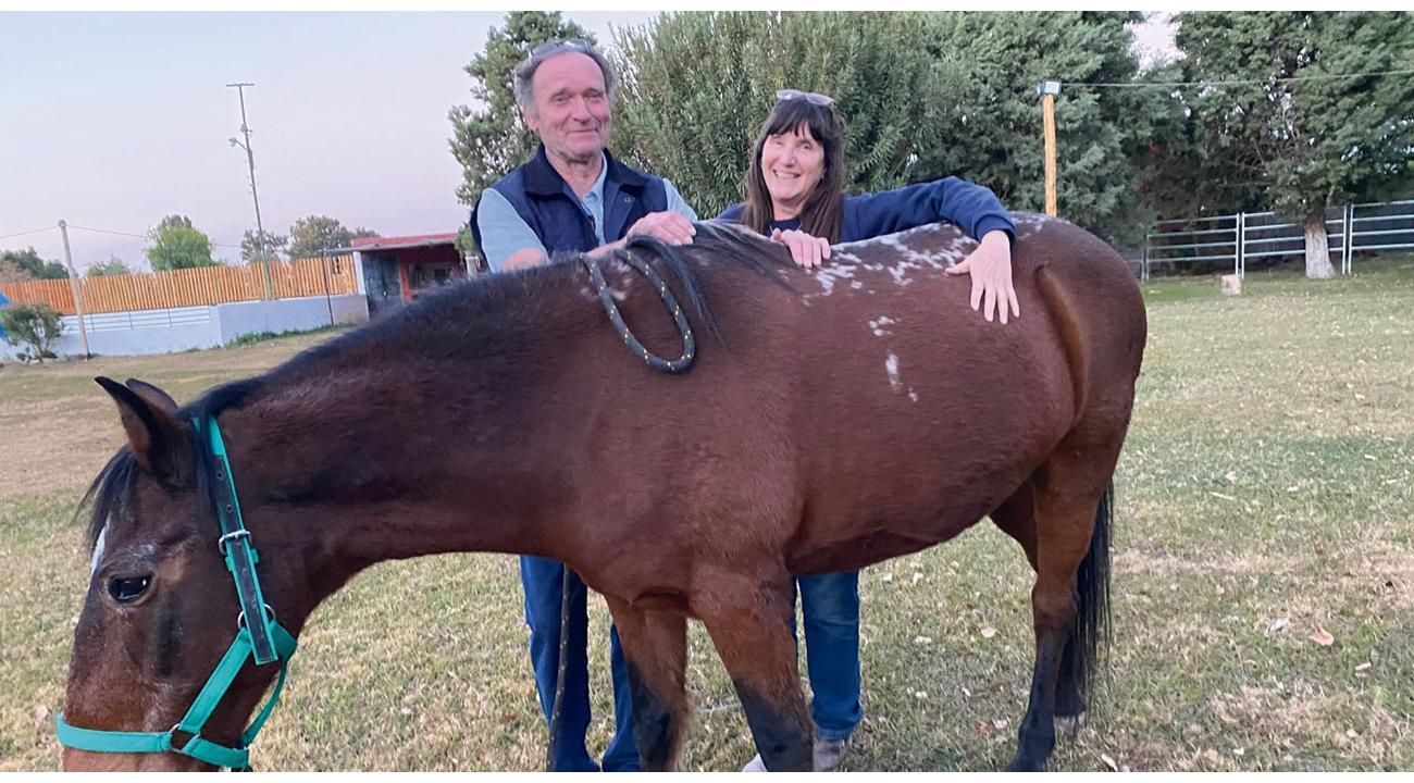 Equinoterapia Carlota Yanzón: una mirada profesional sobre las terapias asistidas con caballos
