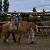 Equinoterapia Carlota Yanzón: una mirada profesional sobre las terapias asistidas con caballos