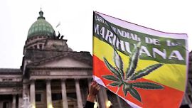 Venta libre, autocultivo y borrón penal: la Izquierda presentó un proyecto para legalizar la marihuana al 100%