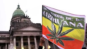 Legalización de la Marihuana 28052026