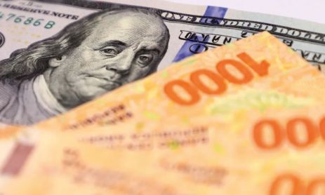 pesos argentinos y dólares