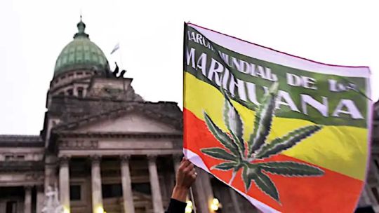 Venta libre, autocultivo y borrón penal: la Izquierda presentó un proyecto para legalizar la marihuana al 100%
