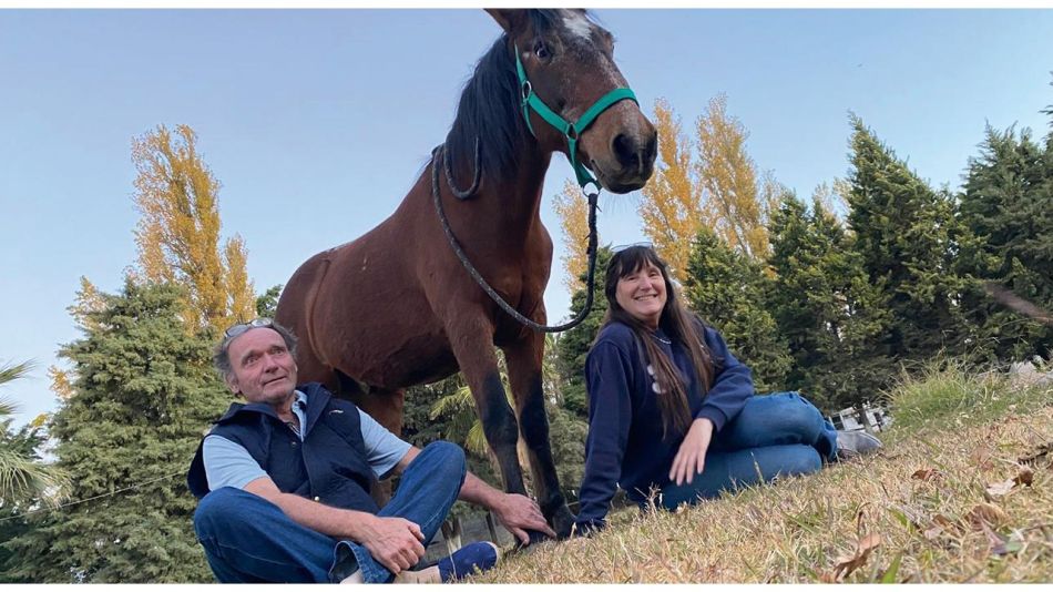 Equinoterapia Carlota Yanzón: una mirada profesional sobre las terapias asistidas con caballos