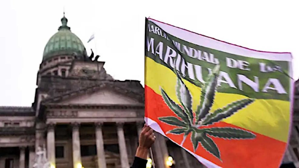 Legalización de la Marihuana 28052026
