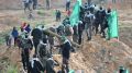 30526_hamas_afp_g