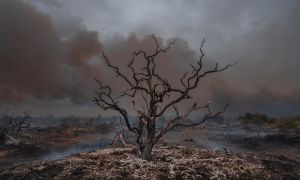 Informe incendios