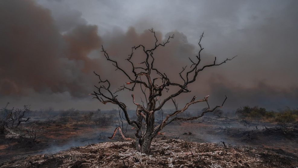 Informe incendios