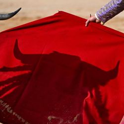 Un toro de lidia de Victorino Martín proyecta su sombra sobre la muleta roja mientras el matador español Borja Jiménez realiza un pase durante la Feria de Pentecostés en Nimes, al sur de Francia. | Foto:GABRIEL BOUYS / AFP
