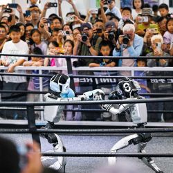 Visitantes observan robots humanoides de Unitree Robotics boxeando en la Exposición Mundial de Inteligencia 2026, en Tianjin, en el norte de China. La exposición reúne a más de 700 expositores para mostrar tecnologías, productos y escenarios de aplicación de vanguardia en el campo de la inteligencia artificial. | Foto:Xinhua/Zhao Zishuo