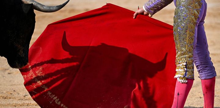 Un toro de lidia de Victorino Martín proyecta su sombra sobre la muleta roja mientras el matador español Borja Jiménez realiza un pase durante la Feria de Pentecostés en Nimes, al sur de Francia.